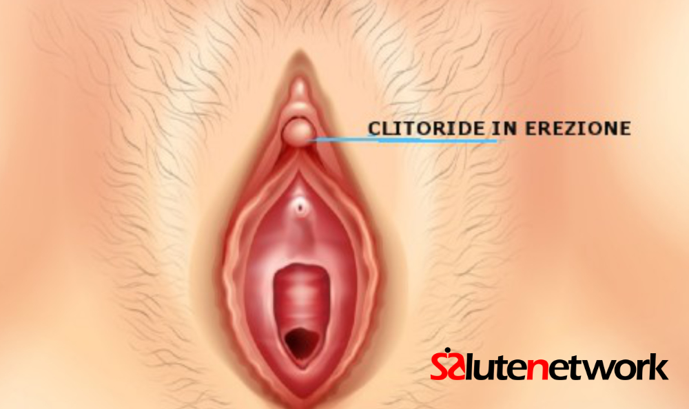Clitoride foto anatomia