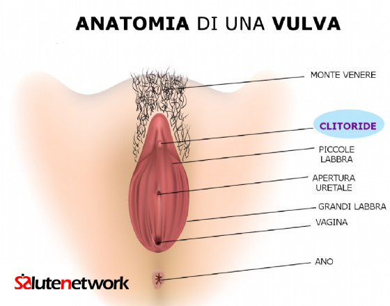 Clitoride