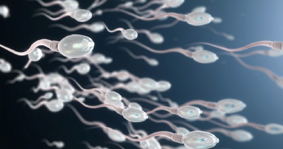 sperma Christoph Burgstedt Shutterstock