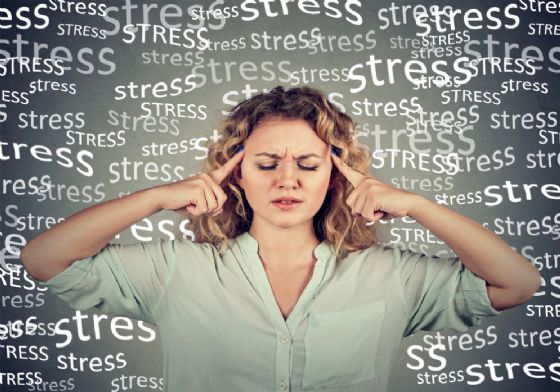 stress Pathdoc Shutterstock