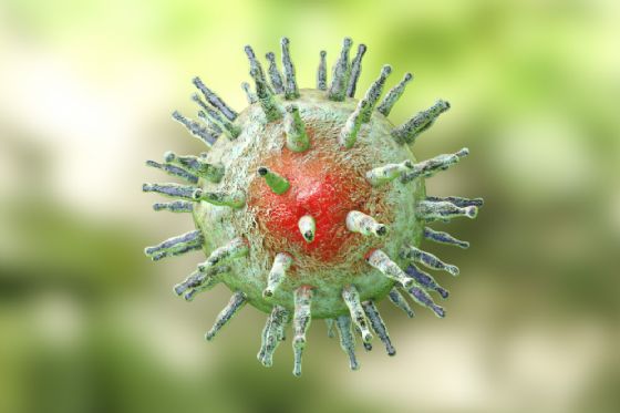 virus Kateryna Kon Shutterstock