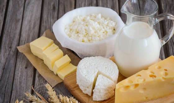 formaggio JulijaDmitrijeva shutterstock