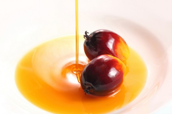 olio palma Dolphfyn Shutterstock