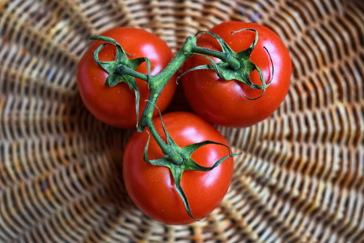 pomodori