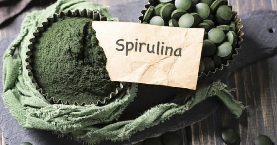 spirulina Elena Schweitzer