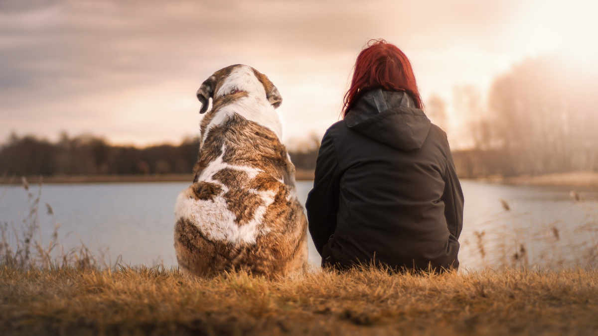 Un cane allunga la vita