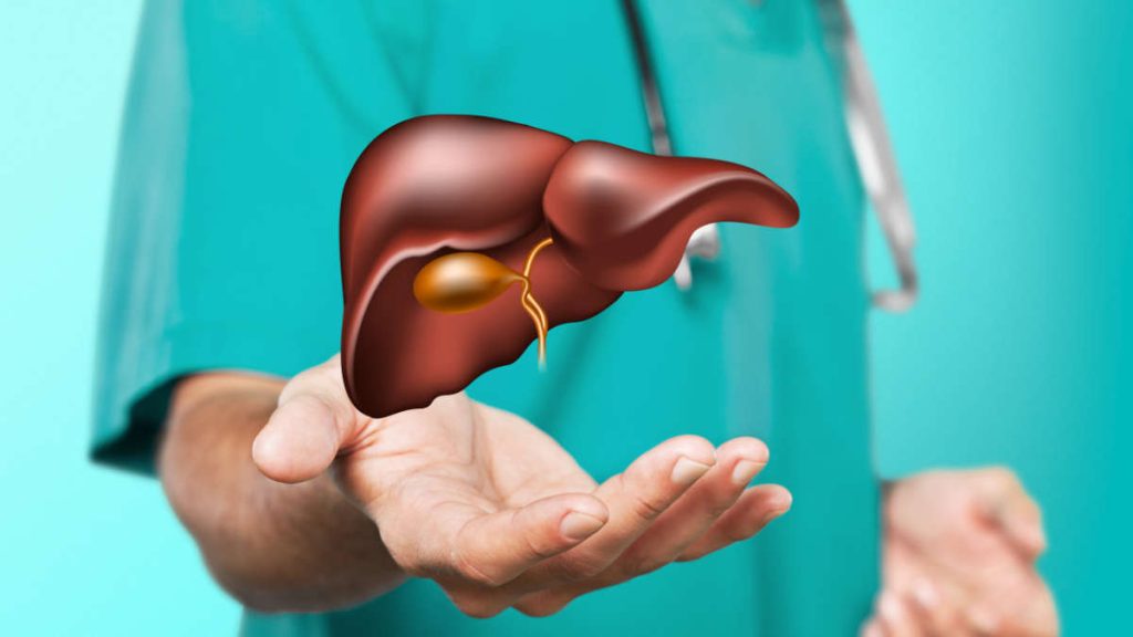 Alanina aminotransferasi (ALT) alta, bassa, normale. Tutti i valori